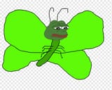 png-transparent-pepe-the-frog-4chan-insect-reddit-frog-leaf-animals-vertebrate