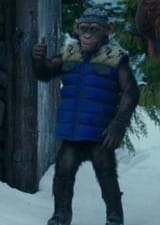 badape