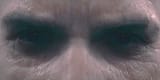 1639336458350