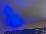 light