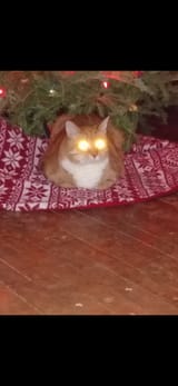 GOD