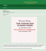 hamster_forum
