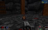 BLOOD: One Unit Whole Blood | Linux Mint 22.1 | 2025-07-25 16-49-49-496627709