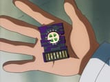 chip