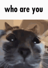 1662150582832819