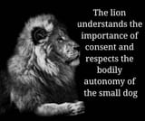 the-lion-consent
