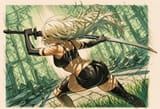 a2(11)