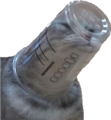 1747050347335268