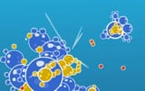 bubble tanks