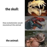 1650375917182