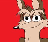 coyote h