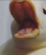 1637075637044