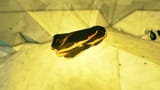 Gold_chunk(1)
