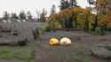 Elephant Pumpkin_thumb.jpg
