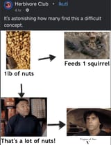I know the rules and no I am not streaming kungpow