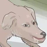 1732672140601808