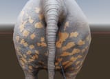 elebutt spots