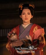 Shogun Gato