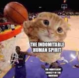 1752303347755393