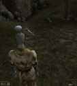 hecking scrib_thumb.jpg