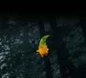 Replay 2025-07-26 11-22-45_thumb.jpg
