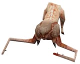 Mr_Friendly_model (1)