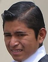 elgoblino