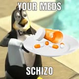 meds