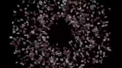 Thread 716516067 OP Image