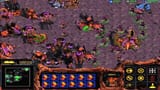 brood war