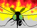 the enemy!
