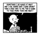 my_life_by_charlie_brown