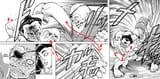 Baki panel