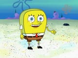 normalbob