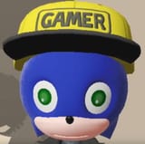 gamer(1)