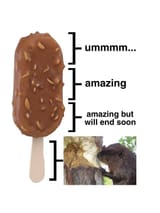 Icecream beaver