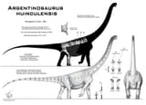 argentinosaurus_huinculensis_by_paleo_king-d30tysl