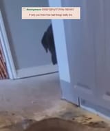 1723464114564723