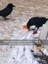 1635993819937