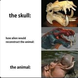 1598637150082