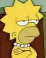 Homer Lisa
