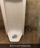 CrabUrinal