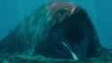 Mosasaurus hoffmanni2_thumb.jpg