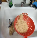 Ramen Fail sad wake me up