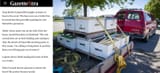 Dr Bees