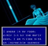incredible_sadness