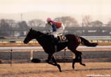 show_photo