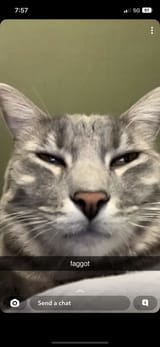 1741221875099239