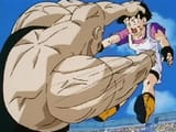 videl