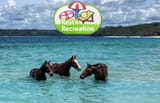Rest&amp;Recreation